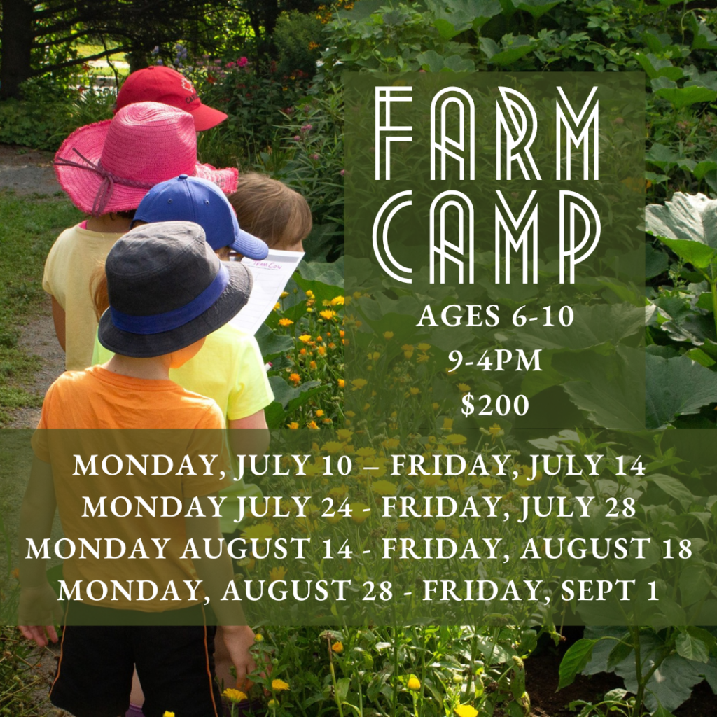 Farm Camp | The Cole Harbour Rural Heritage Society & Heritage Farm Museum